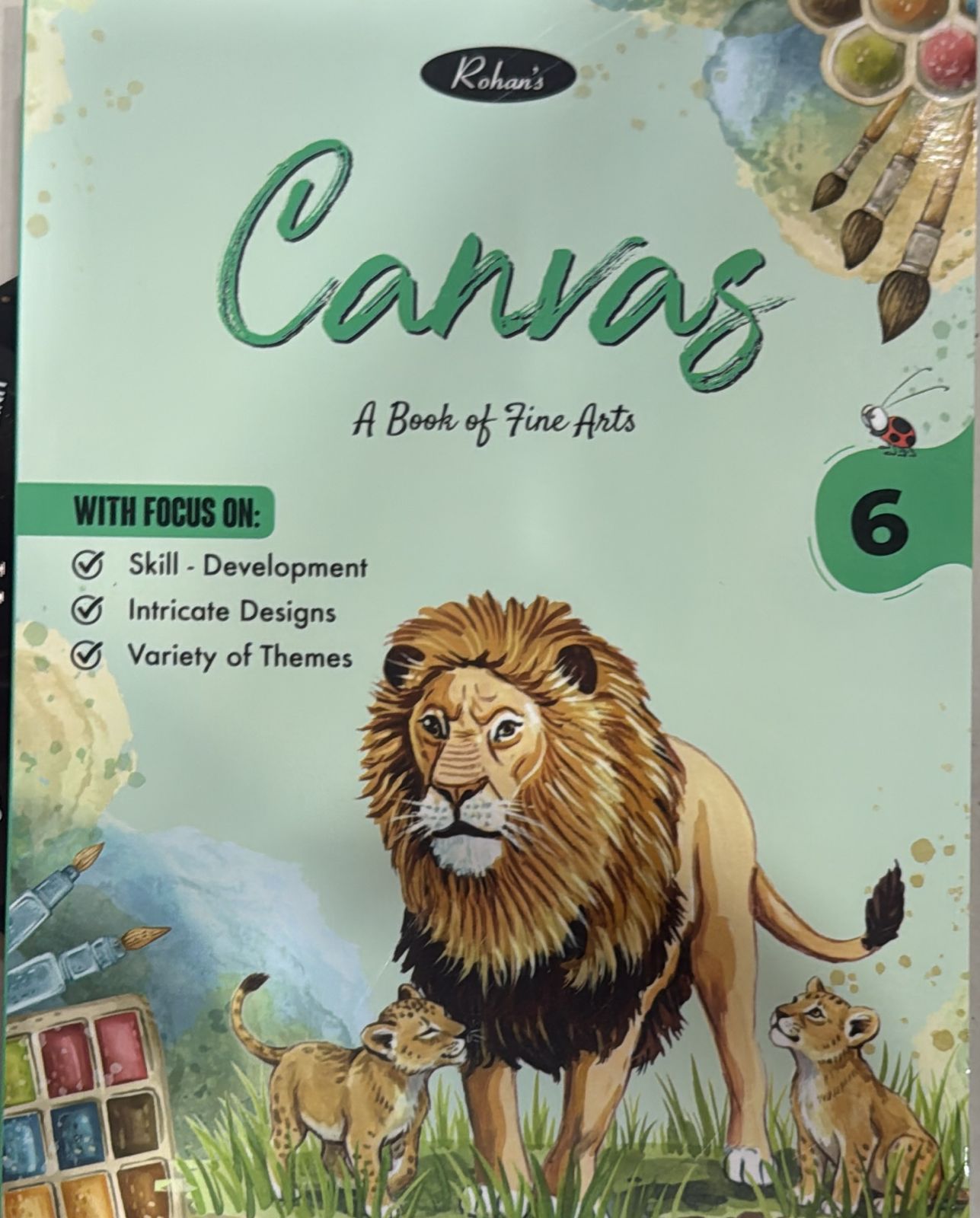 CANVAS 6