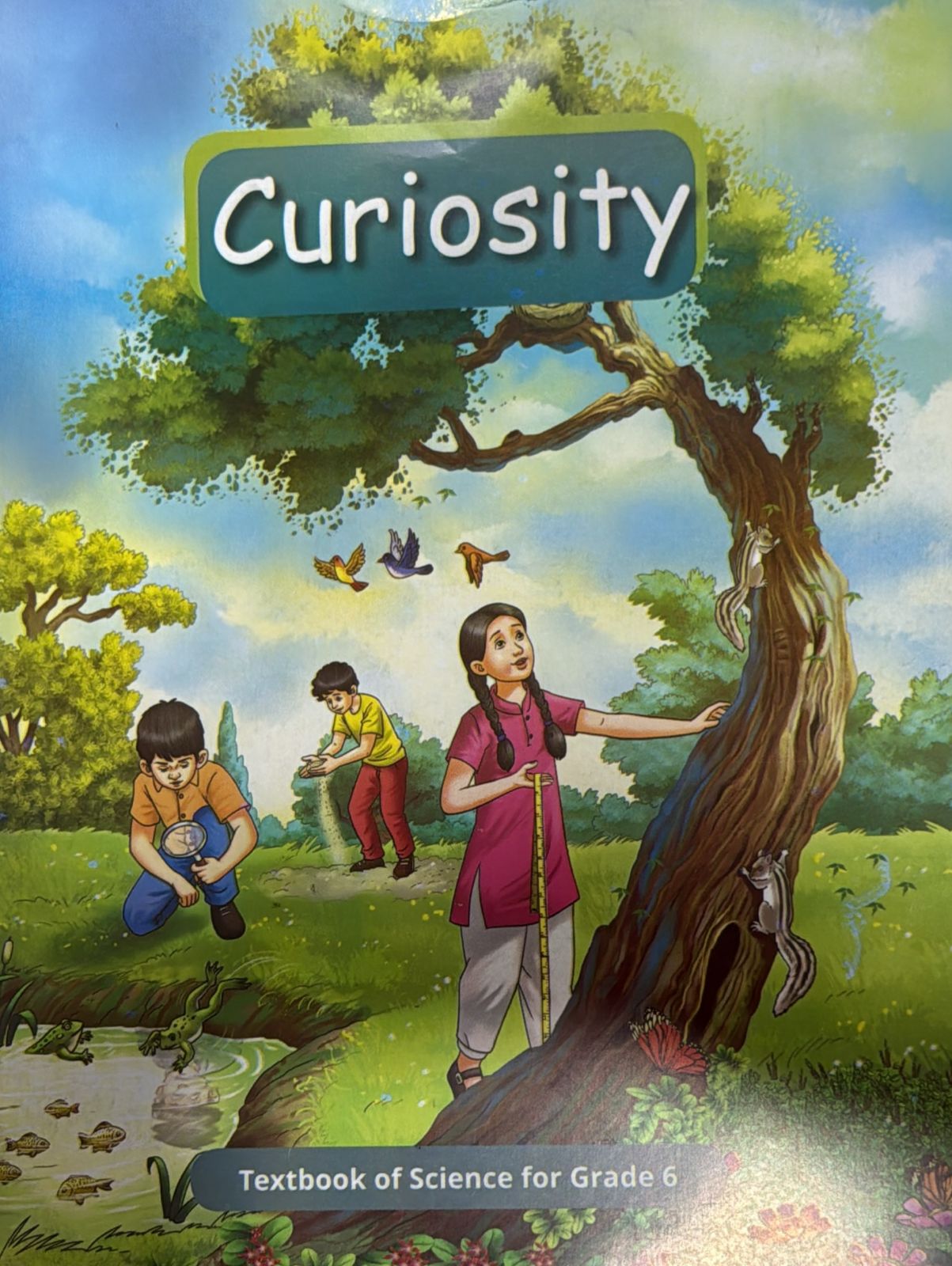 CURIOCITY TEXTBOOK 6