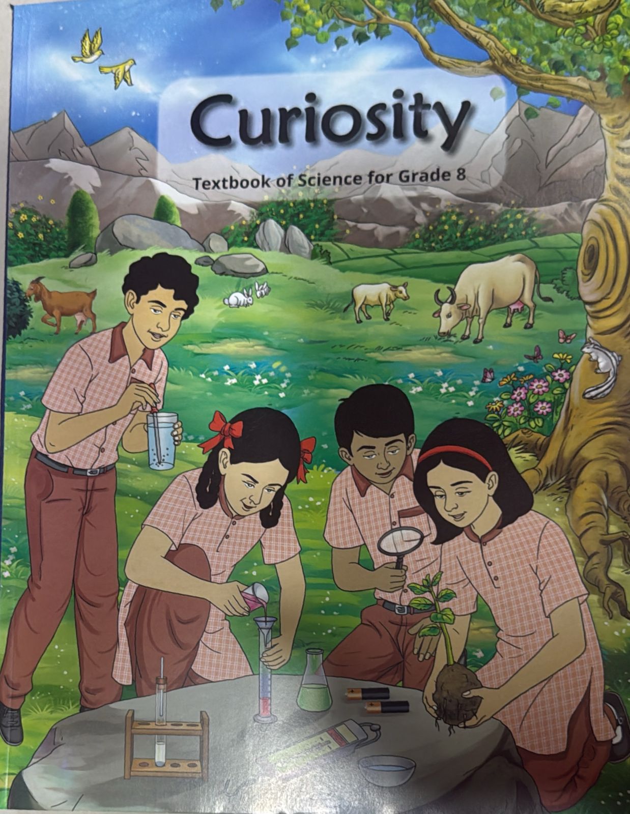 CURIOCITY TEXTBOOK 8